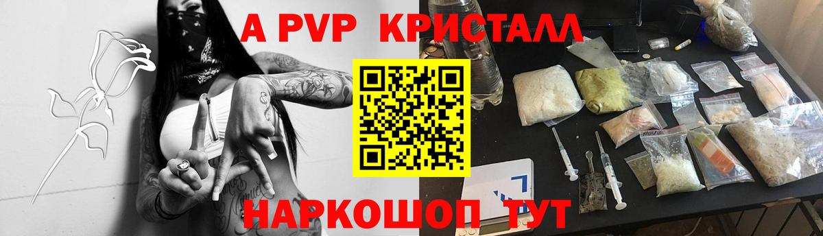 Альфа ПВП СК КРИС Таганрог