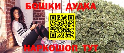 стаф Будённовск