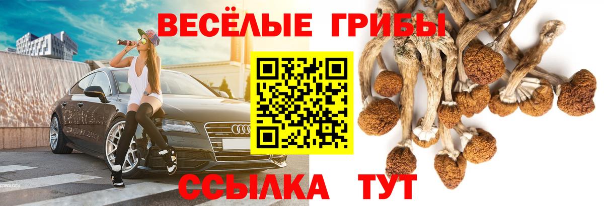 Псилоцибиновые грибы прущие грибы Таганрог