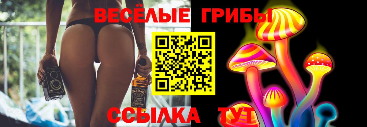 Галлюциногенные грибы прущие грибы  Псилоцибиновые грибы мицелий  Вход с VPN  Таганрог 